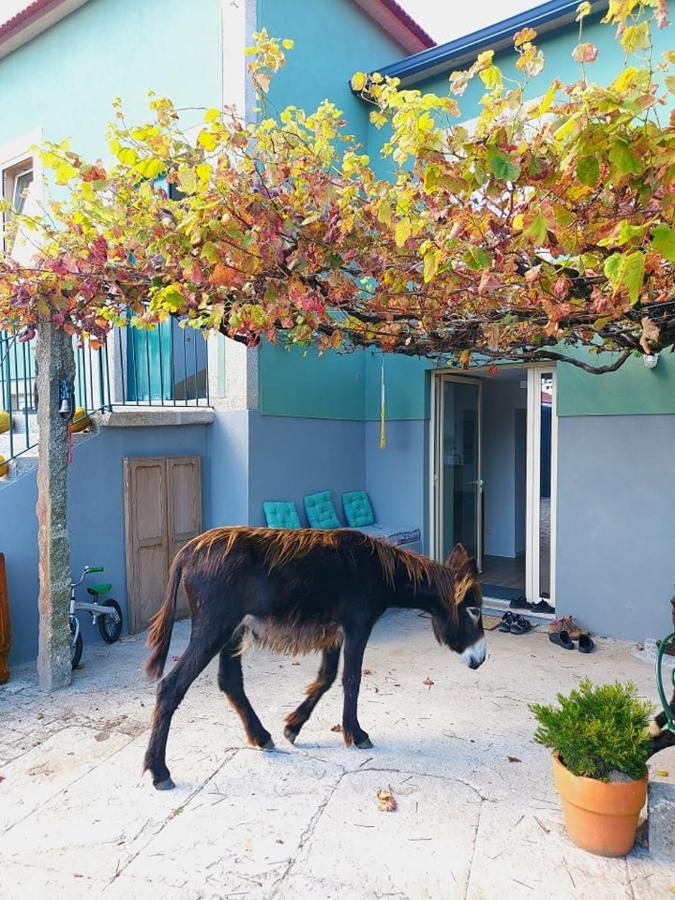 维拉·普拉亚·德·安科拉Quinta Da Quinhas别墅 外观 照片