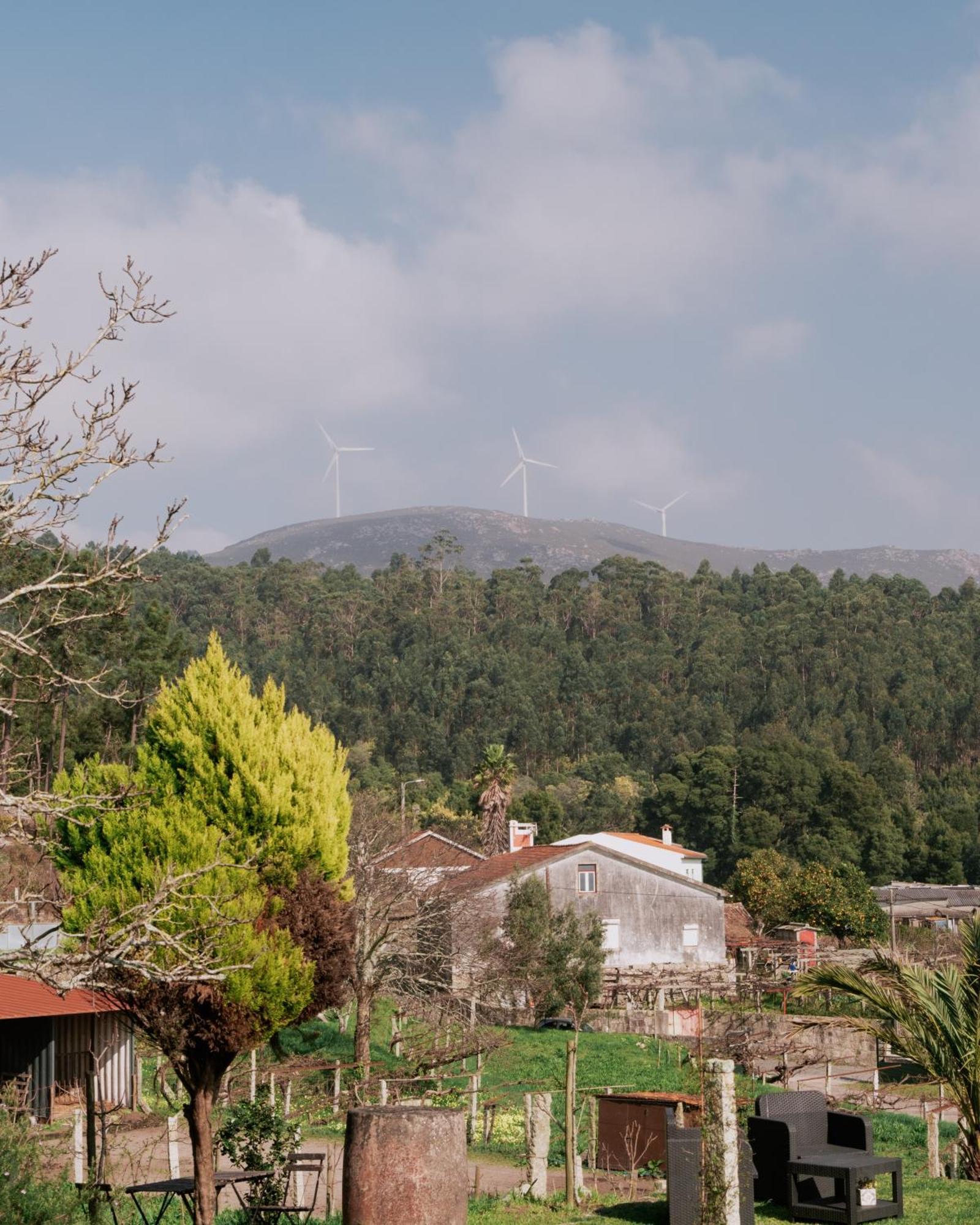 维拉·普拉亚·德·安科拉Quinta Da Quinhas别墅 外观 照片
